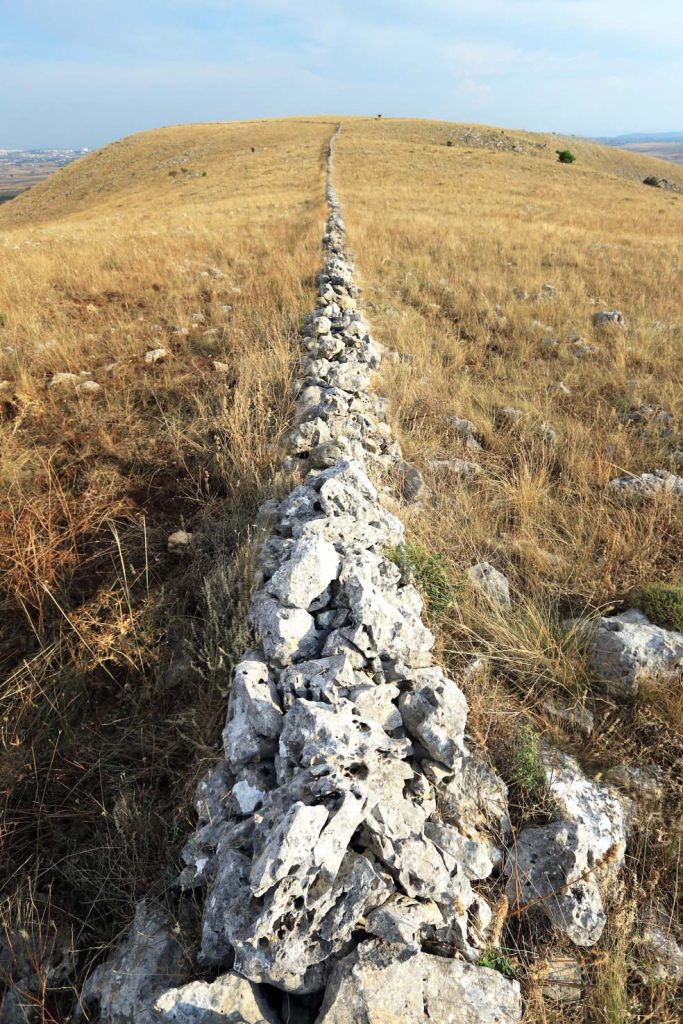 Le rocce carsiche che si trovano un po ovunque vengono spesso utilizzate per costruire muretti a secco in mezzo ai campi