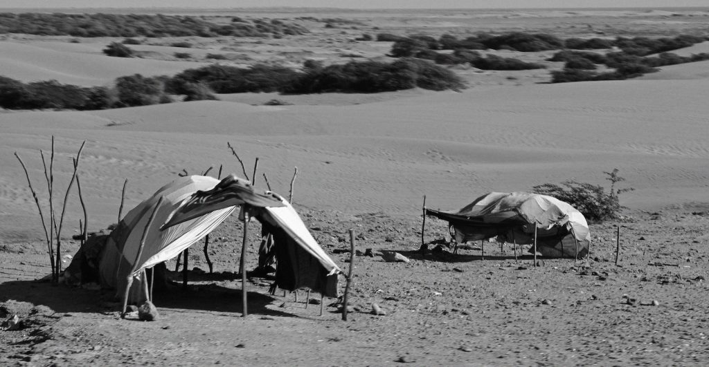 Nomadi nell'area atorno alla città di Ziarat (foto Roshaan Khattak)