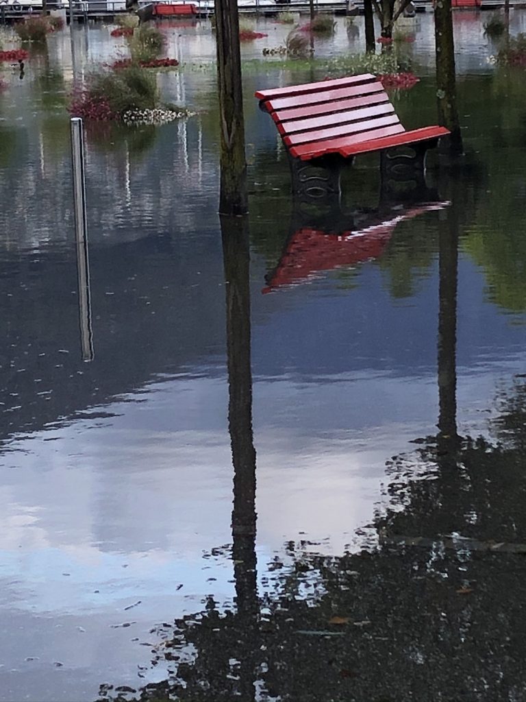 Esondazione del Lago Maggiore, ottobre 2020 (Manuela Mazzi)