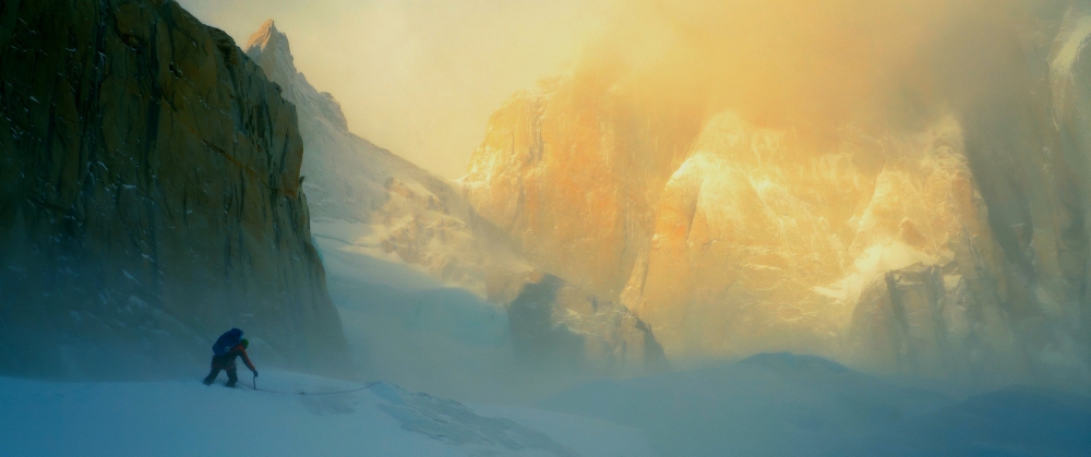 Il ragno della Patagonia (Fulvio Mariani)