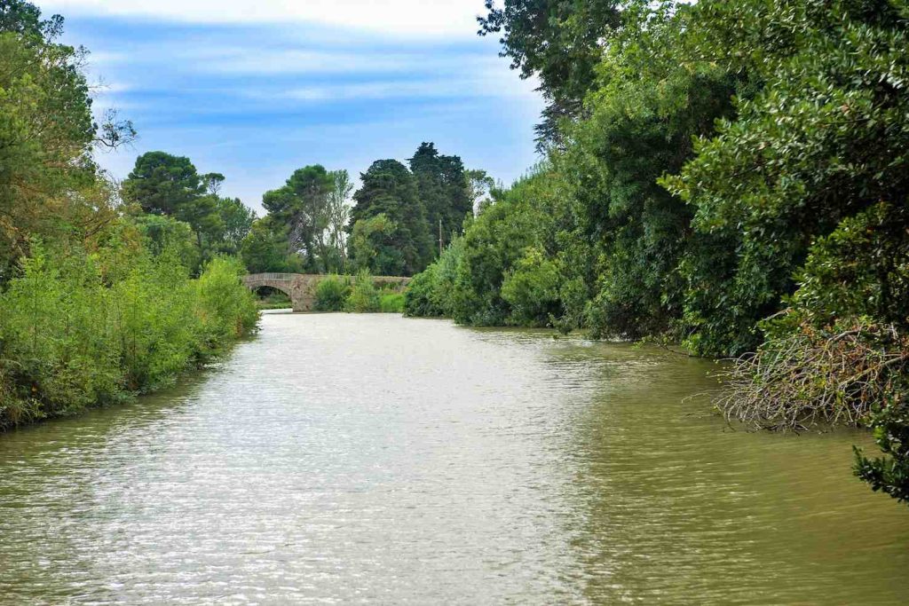 In navigazione sul Canal du Midi (Fabrizio Magnani)