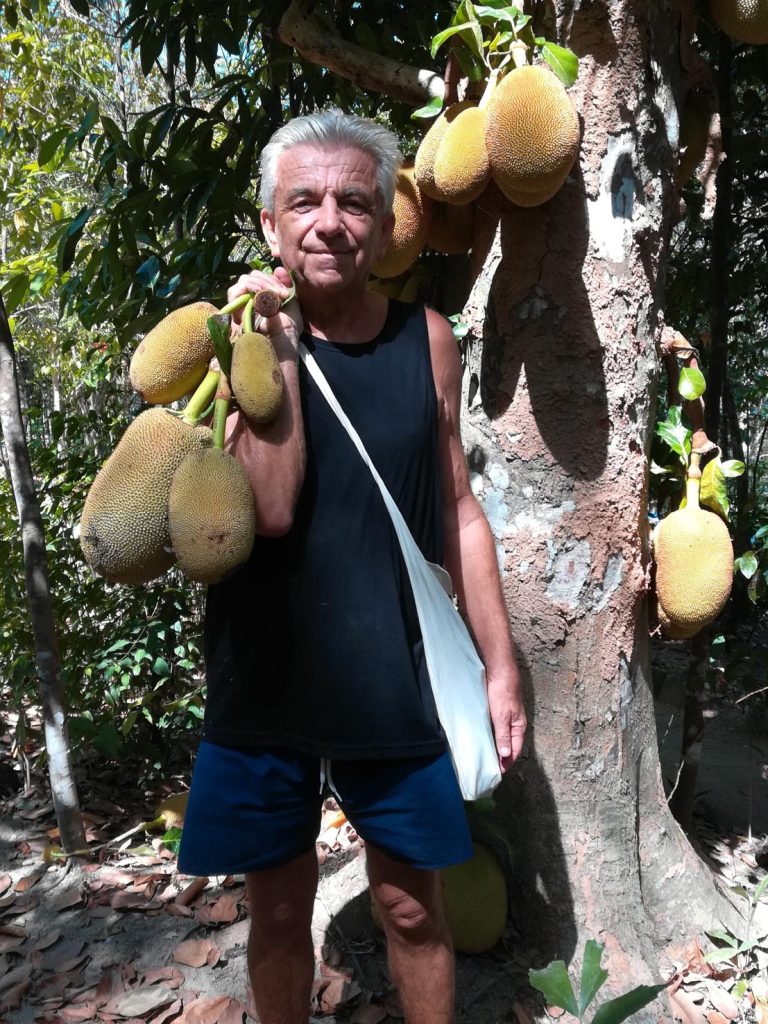 Thailand, Ko Chang Noi, raccolta di jackfruit