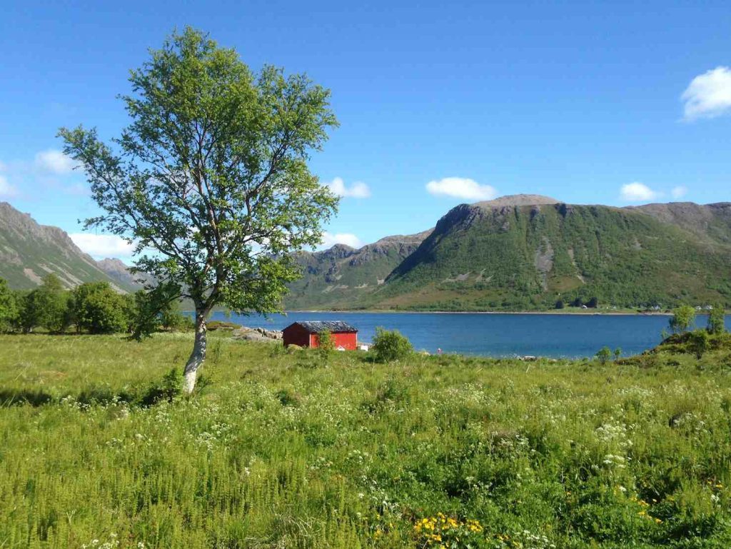 L'isola di Lille Langøya