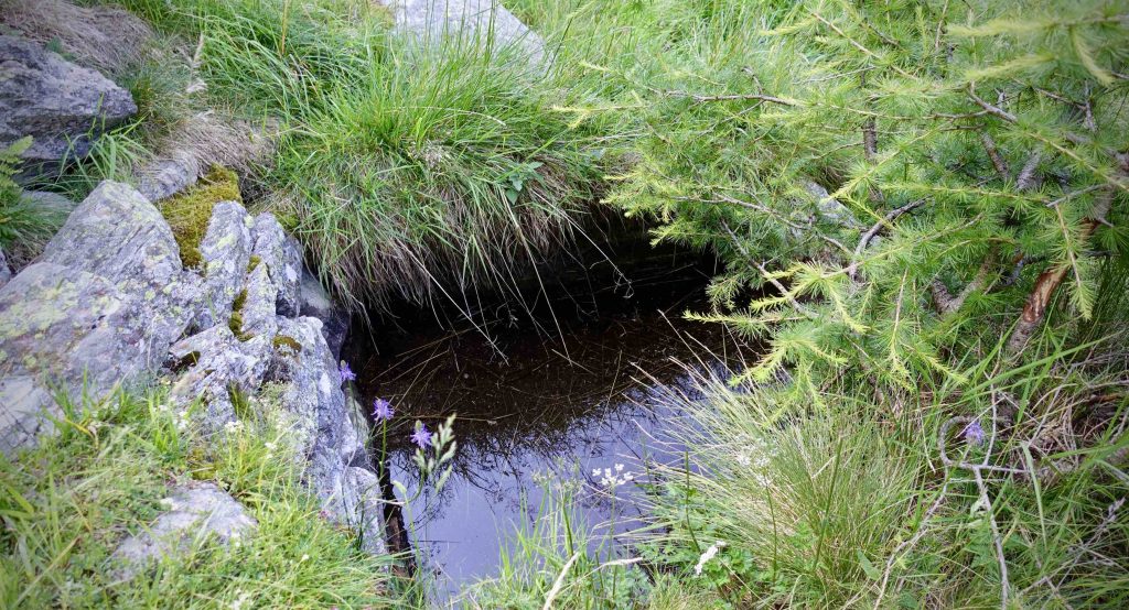 La sorgente di Stabgel