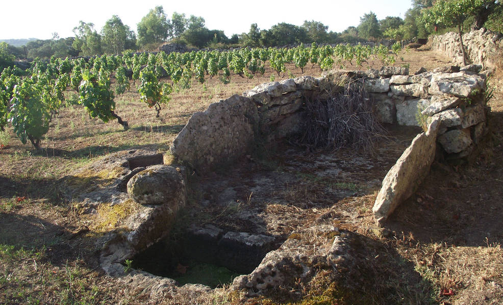 Tra archeologia ed enologia (facebook.com/paleoworking.sardegna)
