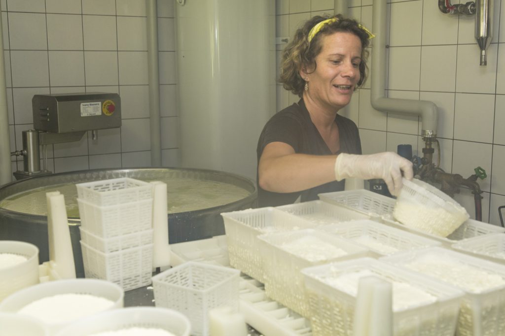 Le forme di formaggio fresco aumentano... (Stefano Spinelli)