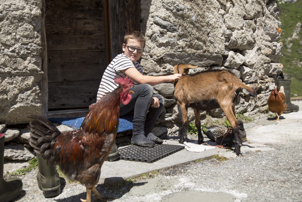 Il lavoro è finito, Kevin si trastulla con i suoi amici animali (Stefano Spinelli)