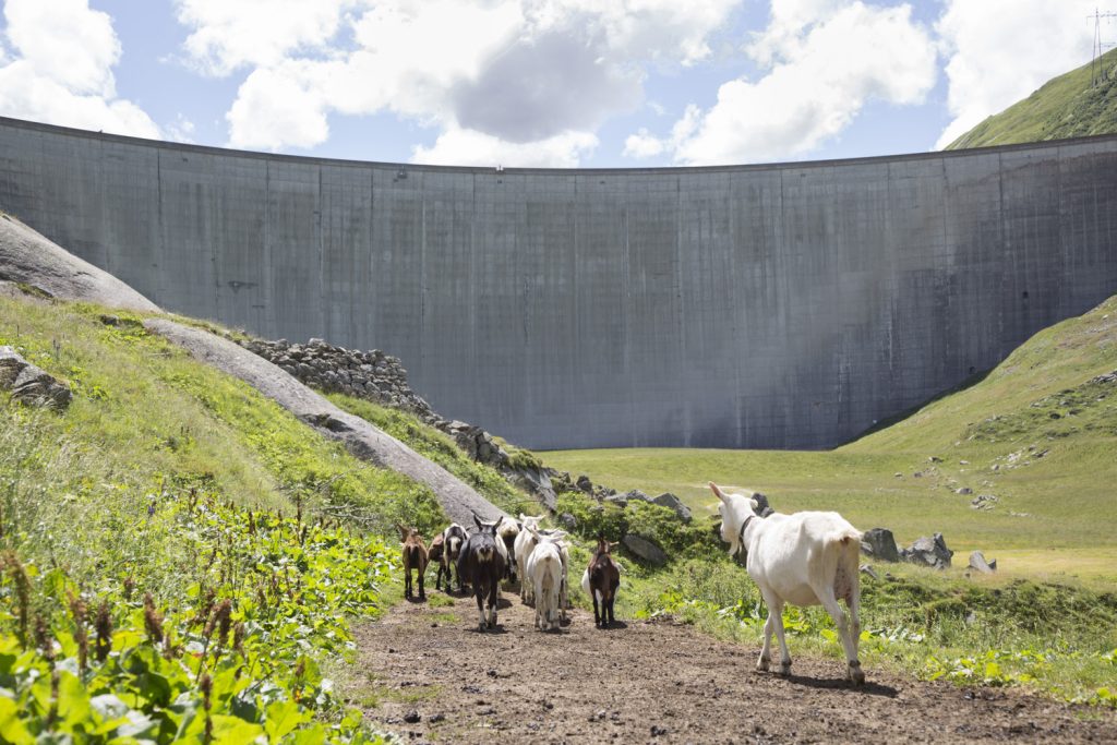 La diga ad arco di Santa Maria, alta 117 metri e lunga 560 metri, costruita nel 1968 (Stefano Spinelli)