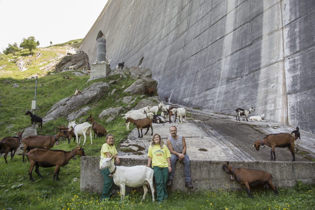 Ai piedi della diga le capre, Fabio, Melanie ed Eveline si godono la frescura