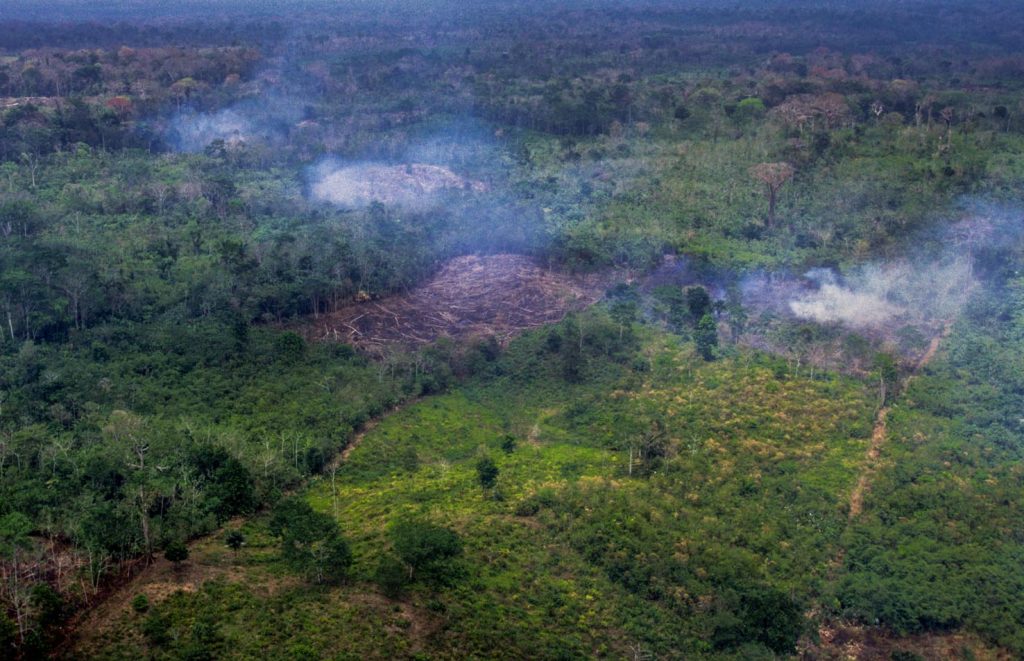 Fuochi che bruciano gli ultimi alberi vicino a Darius Nat