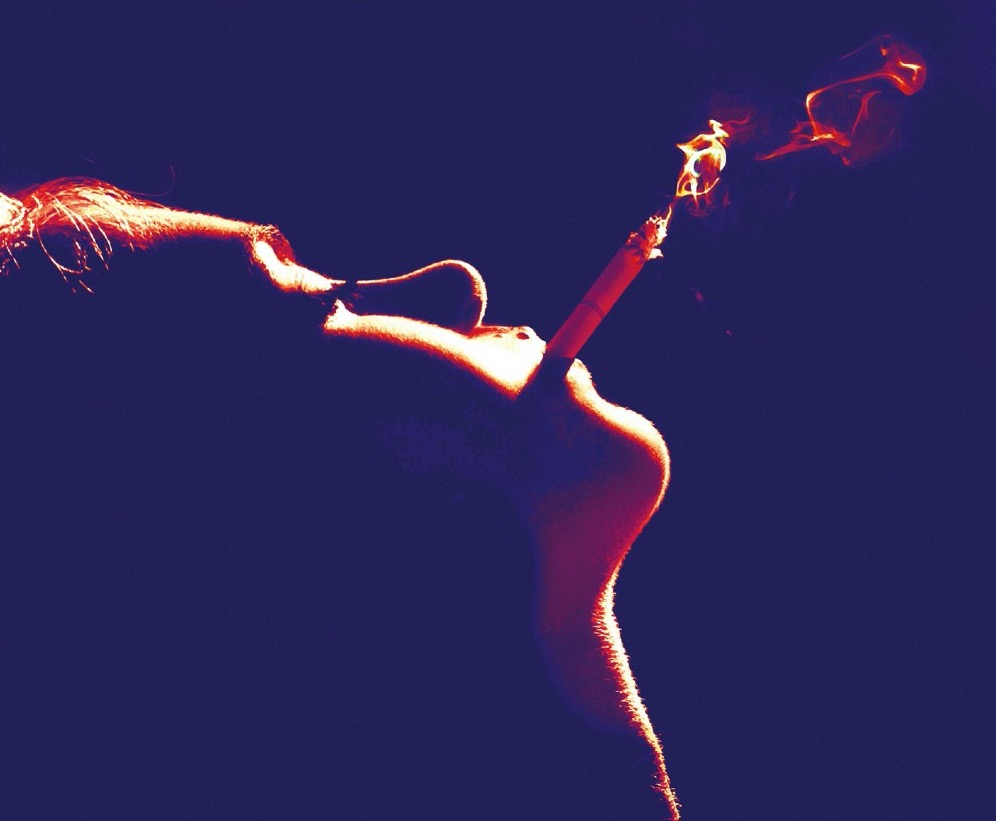 L’immagine di copertina del romanzo L’ospite, nell’edizione italiana pubblicata da Einaudi.