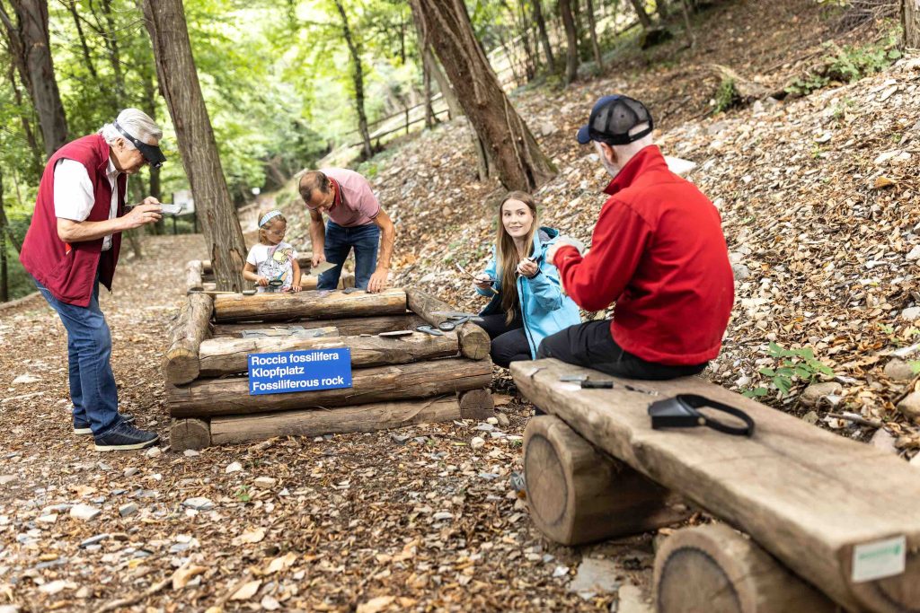 Zona di ricerca con roccia fossilifera, presso lo scavo di Acqua del Ghiffo a Meride (@ FMSG)