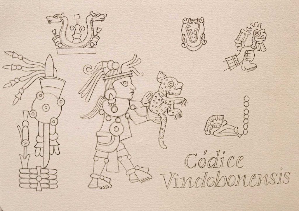 (disegni di Sara Pellicoro)