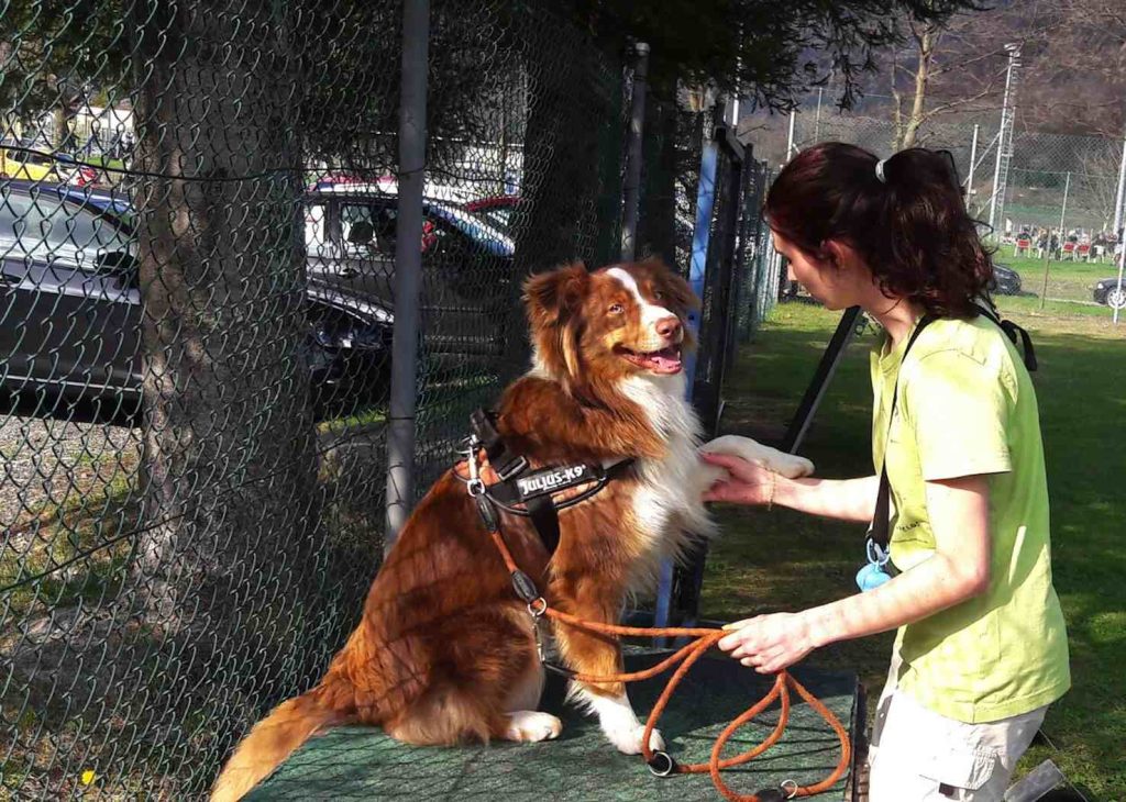 (Sheila Cappelletti)