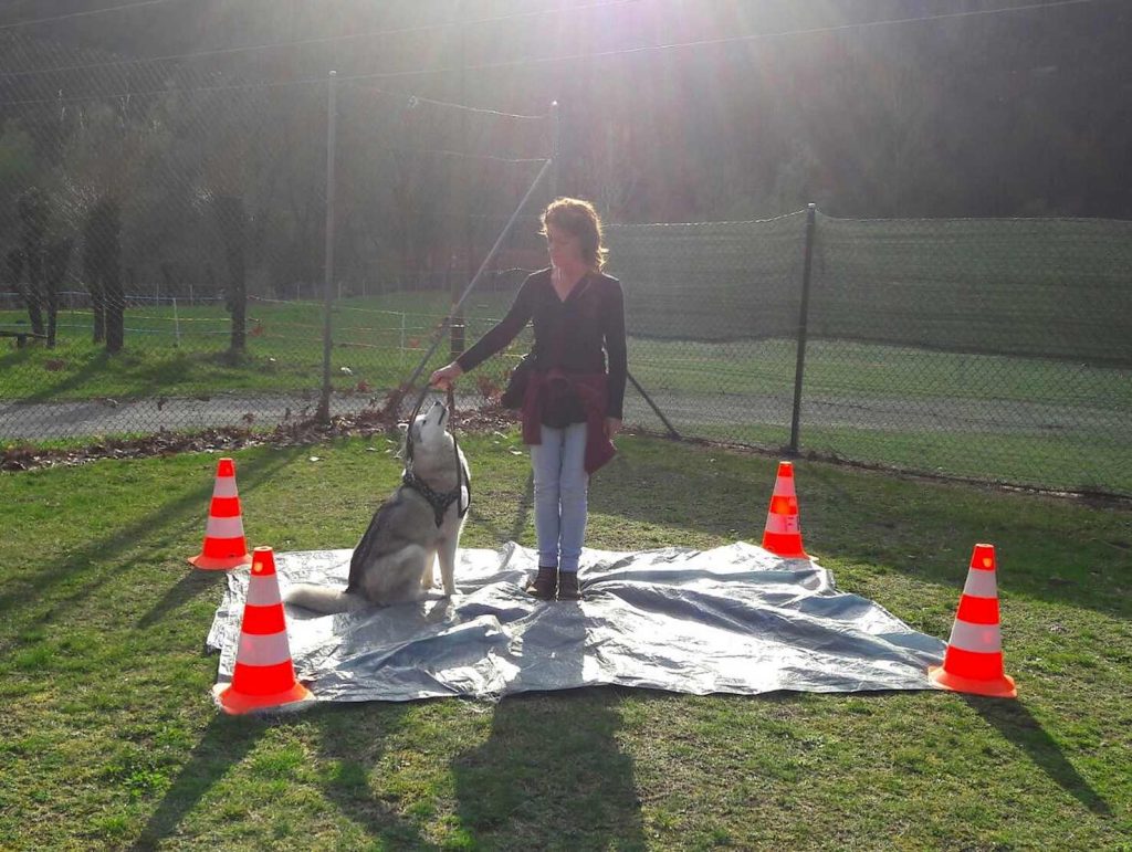 (Sheila Cappelletti)