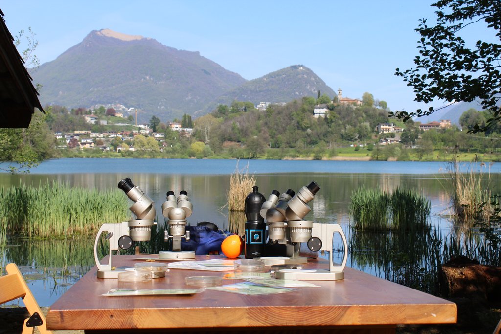 Una postazione interattiva aiuta a scoprire i segreti del laghetto (E. Stampanoni)