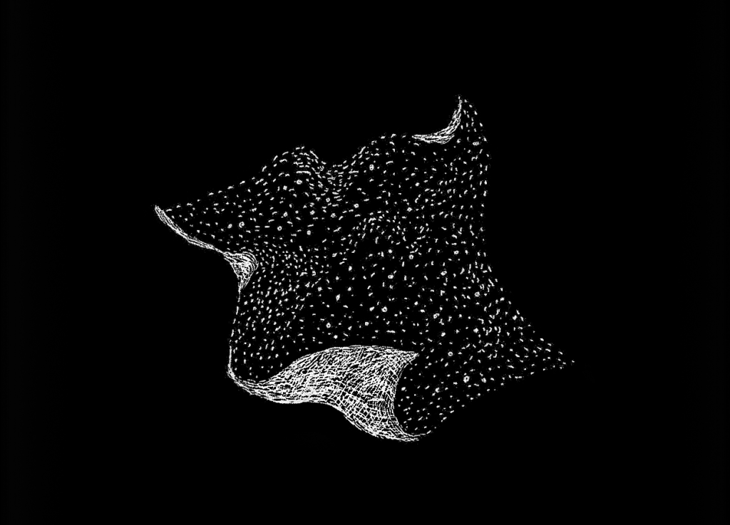 L'entrata dei nazisti in città (Keystone)