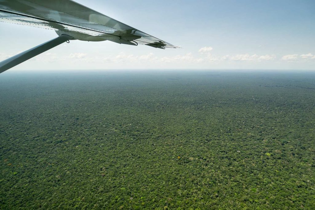 Panoramica sulla foresta amazzonica