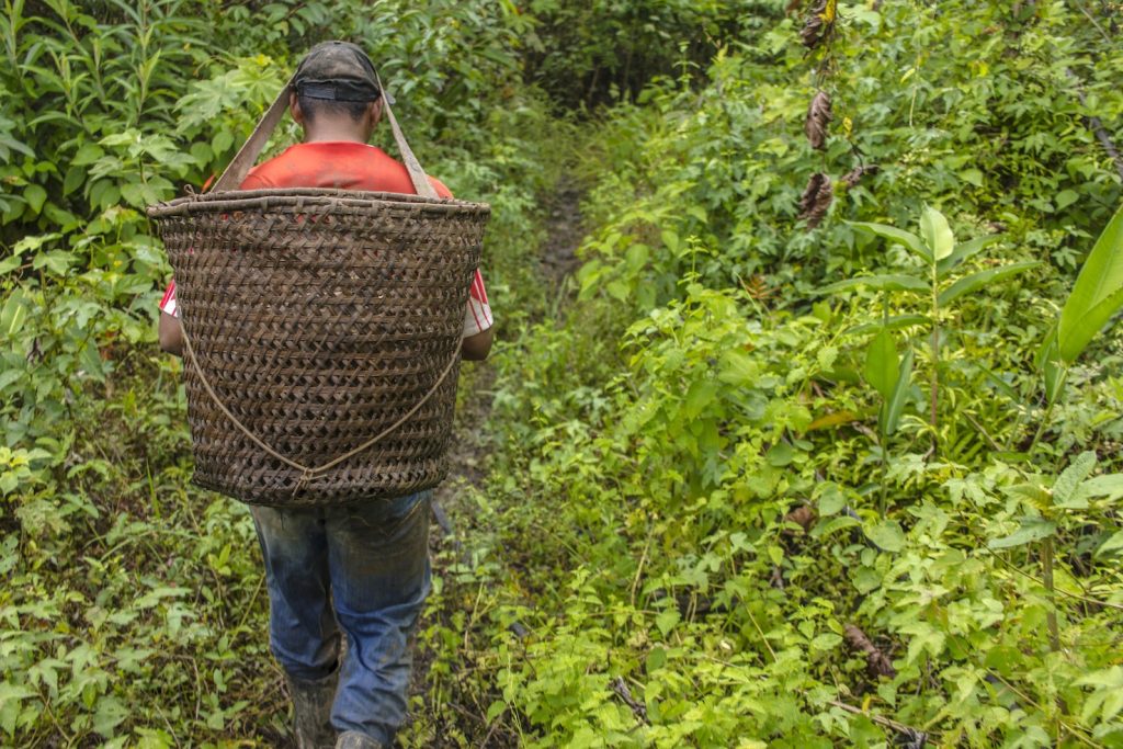 Secondo la Commissione pastorale della terra, nel 2016 sono stati uccisi 61 agricoltori impegnati nella battaglia contro i grandi fazendeiros (Keystone)