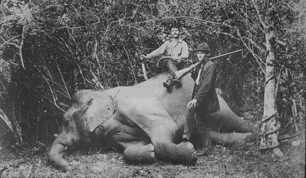Gli esplooratori Fritz e Paul Sarasin in Sri Lanka, fine 19esimo sec. (Biblioteca ETH ZH)