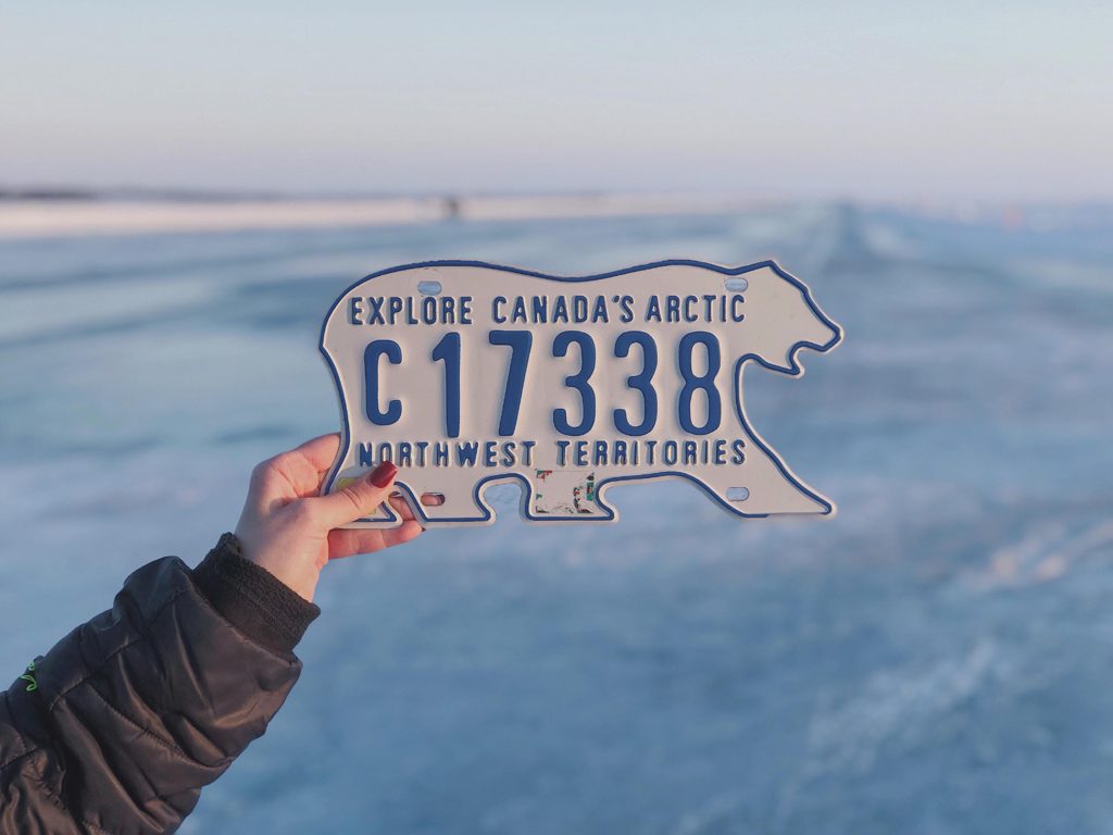 Targa a forma di orso polare