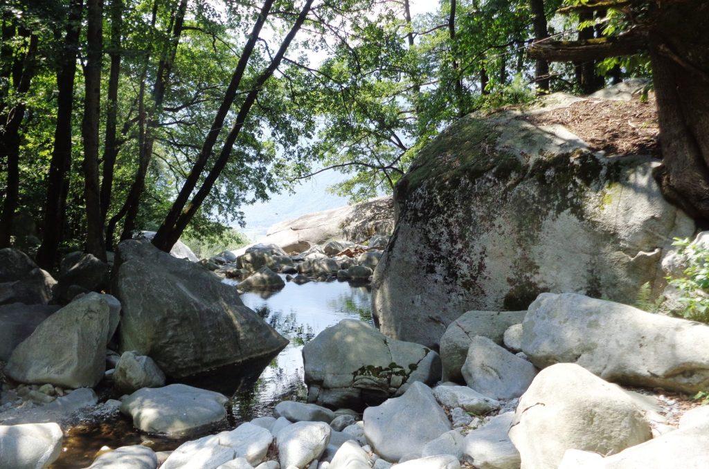 Vasche e canali scolipiti nello gneiss granitico a Colarga, sopra Osogna (E. Stampanoni)