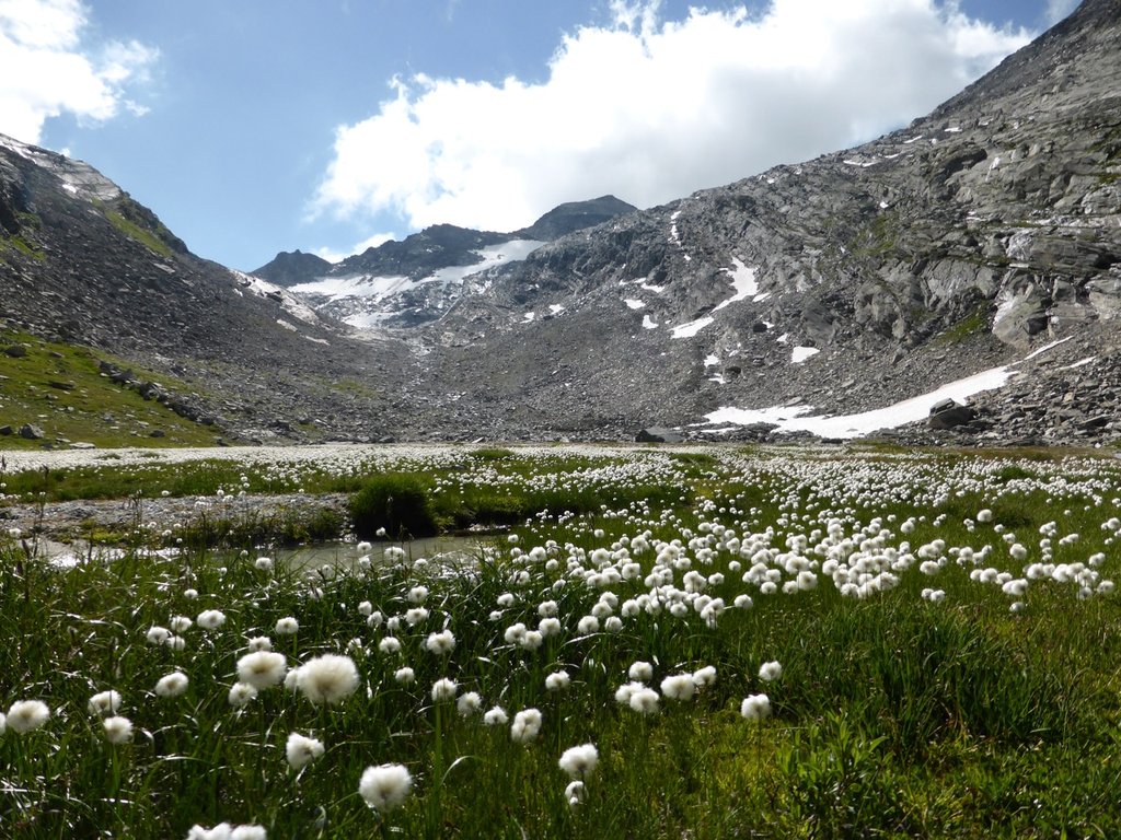 Tälliboden sopra Saas Almagell, circa 2500 m s/m (M. Martucci)