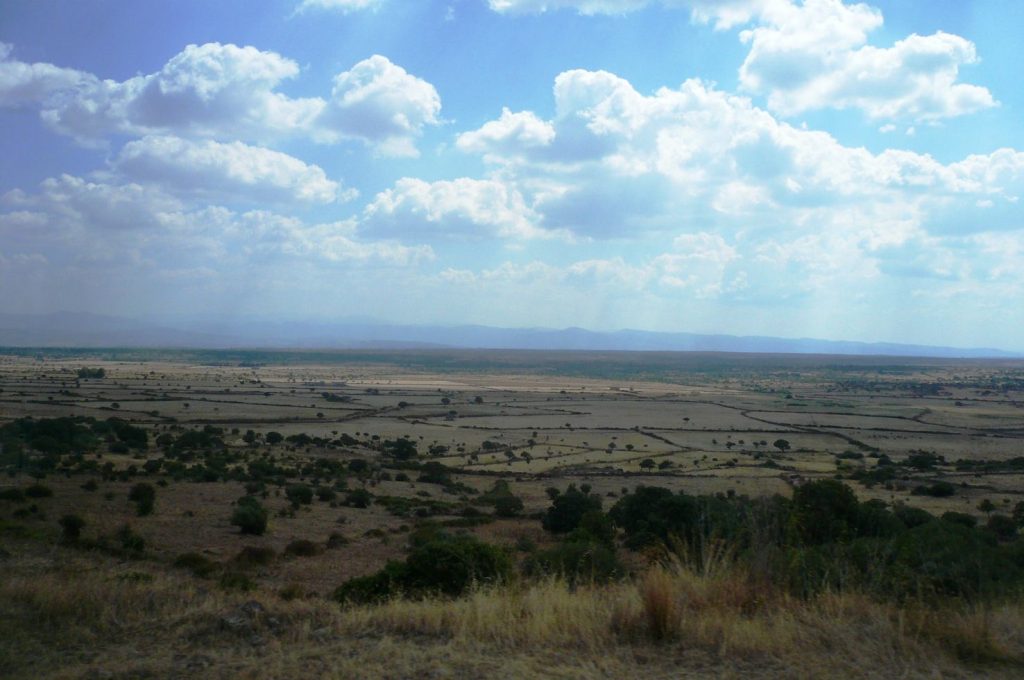 Paesaggio agreste appena fuori Monserrato