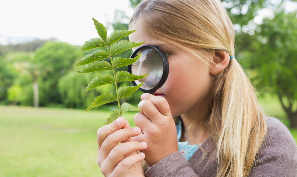 La curiosità scientifica è una predisposizione che va coltivata e trasmessa agli altri (Marka)