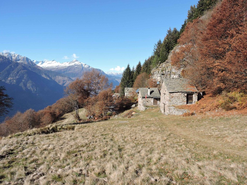Il nucleo alpestre di Mürisc (1499 m), sulla dorsale tra Leventina e Blenio, in territorio di Pollegio (Foto Giuseppe Brenna)