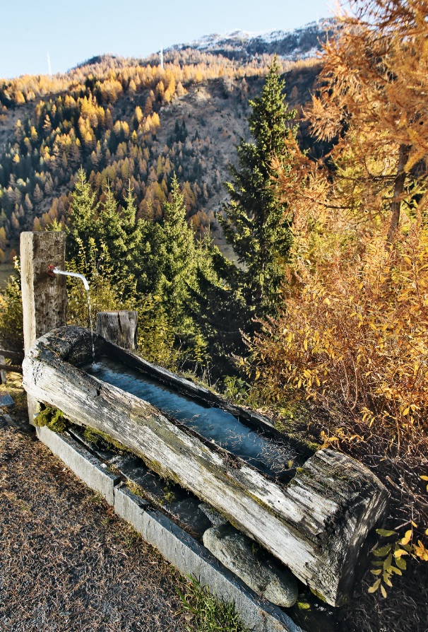 Fontana a Ronco Bedretto (Rémy Steinegger)