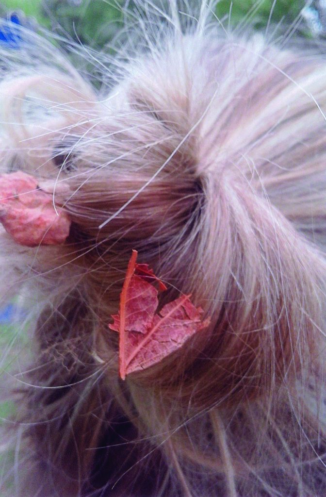 Foglie secche trattenute nei capelli di un’amica, fotografia scattata da Gianmaria Terrani