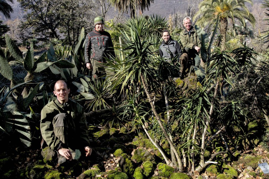 Due le sfide principali per team di giardinieri: meteo e parassiti (Stefano Spinelli)