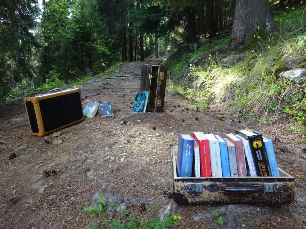 Un viaggio attraverso libri e giochi nei boschi sopra Osco (Fabia Jurietti)