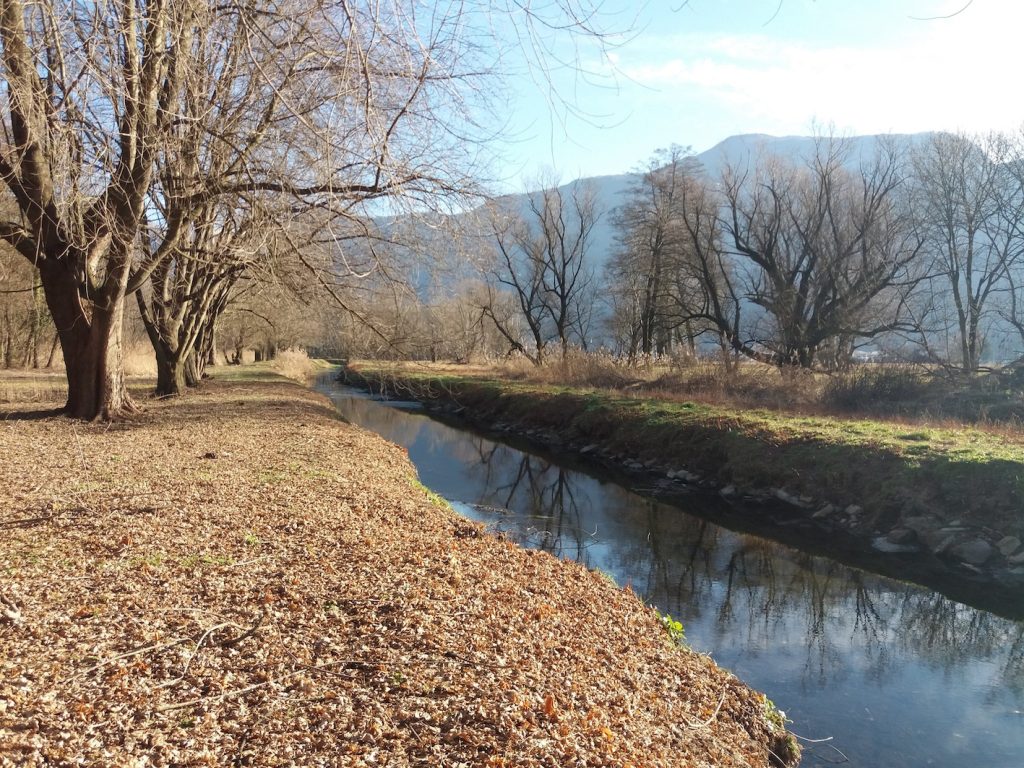 Dal punto di vista naturalistico il parco è importante per la biodiversità, grazie alla presenza di ambienti palustri di pianura (parcodelpiano.ch)