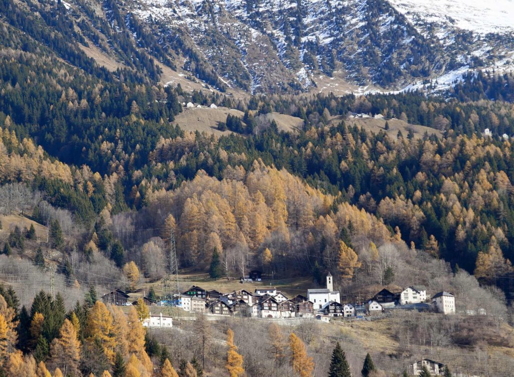 Nell’arco alpino i villaggi hanno alle spalle una bella faura, cioè un bosco protettivo: l’esempio di Deggio (Stefano Spinelli)