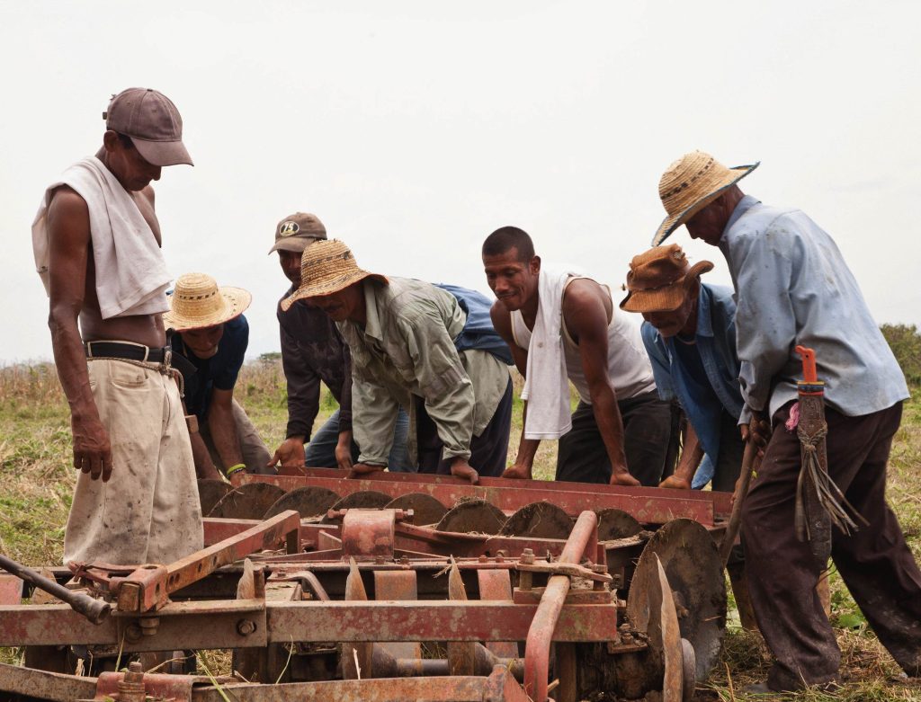 L’immagine di copertina del libro