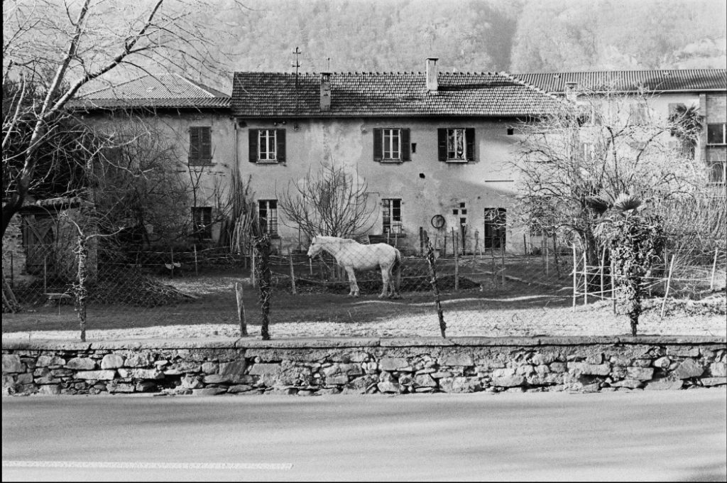 Via delle Officine Bellinzona 2016