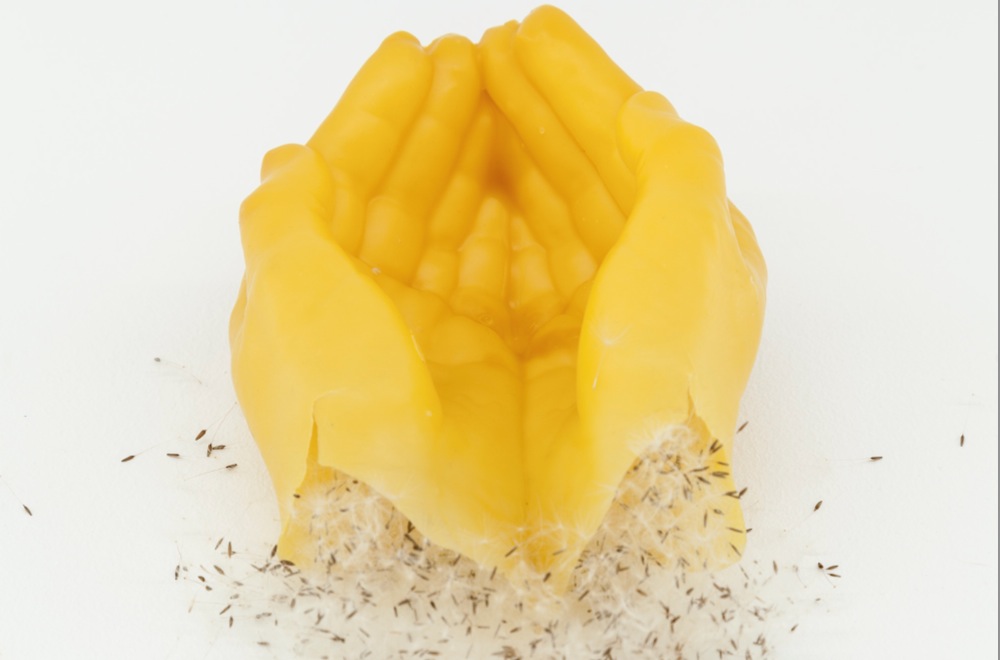 Gabriela Maria Müller, Senza titolo (Stefano Spinelli)