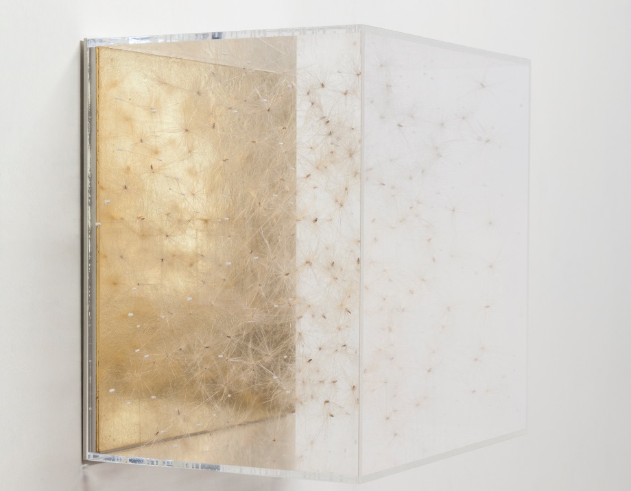 Gabriela Maria Müller, Silence into light (Stefano Spinelli)