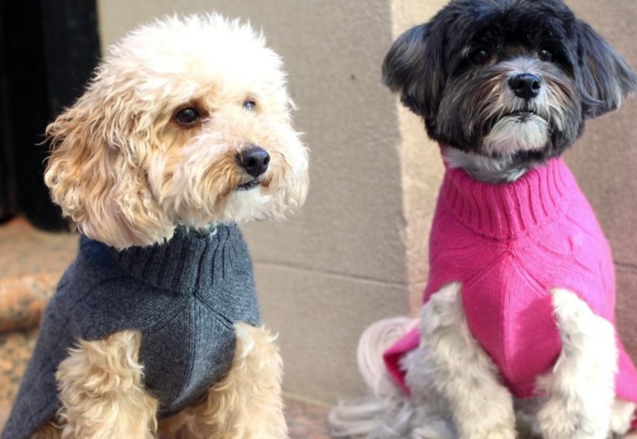 Moda a quattro zampe (instyle.com)