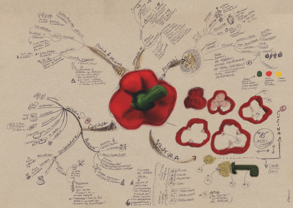 Una mappa di Patrizia Pfenninger dedicata al peperone: priorità e gerarchie sono immediatamente visibili