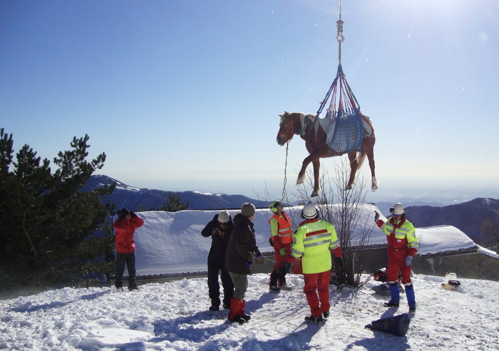 Intervento in elicottero per il trasporto di un cavallo (SPAB)
