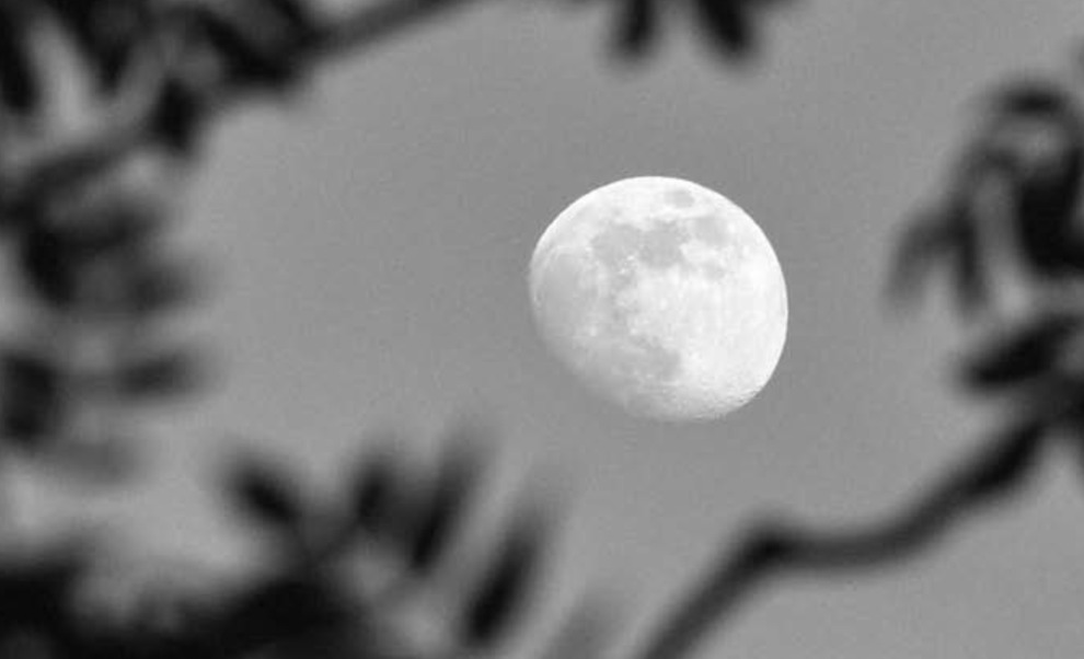 Il volume è corredato da bellissime immagini