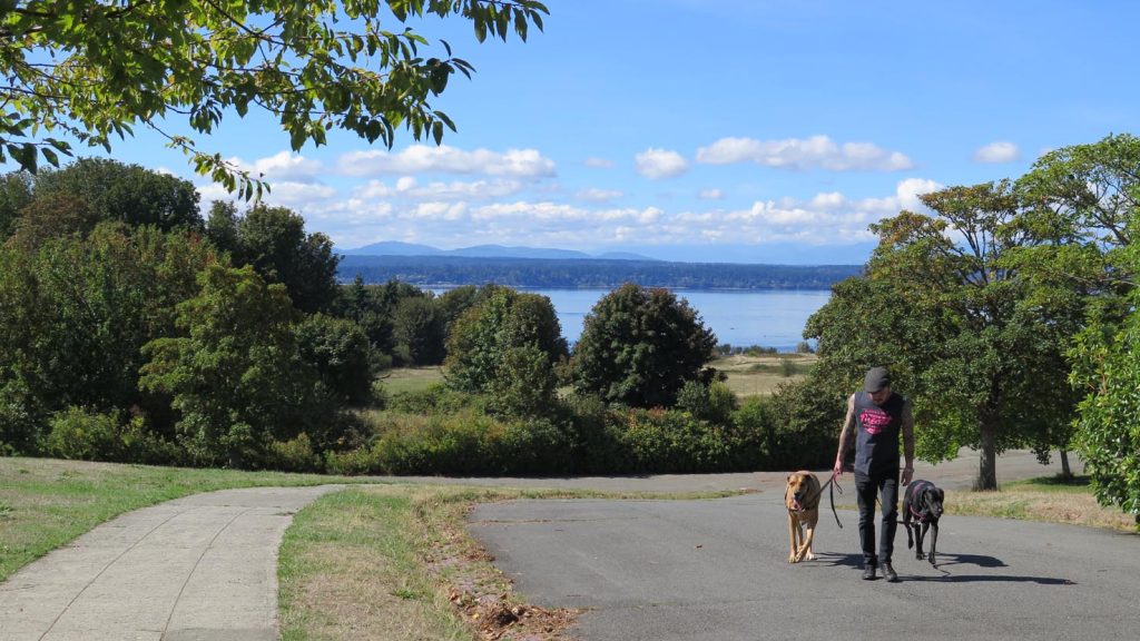 Scorcio di Discovery Park, uno dei tanti parchi cittadini di Seattle