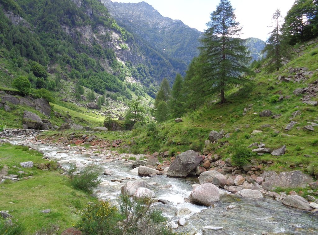 In passato sbarramenti artificiali del fiume permettevano di regolare il flusso per trasportare il legname a valle (E. Stmapanoni)