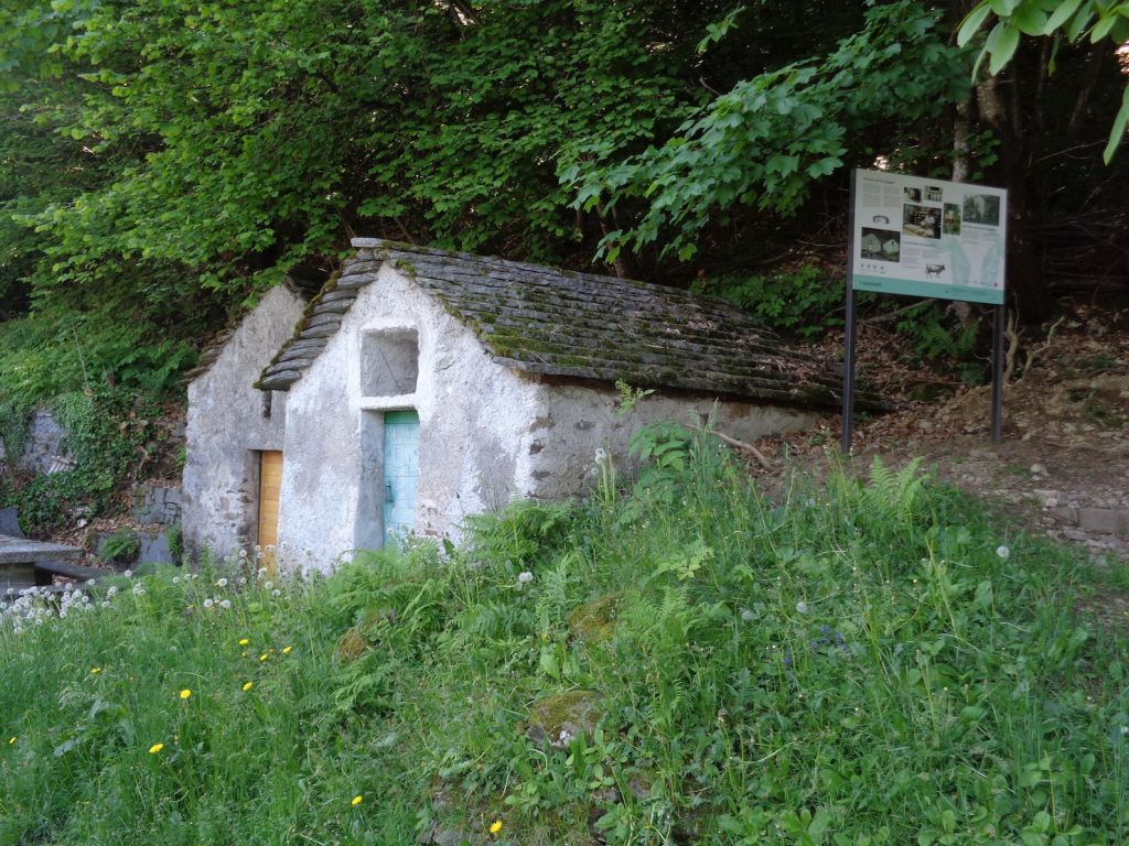 Cassinelli (E. Stampanoni)