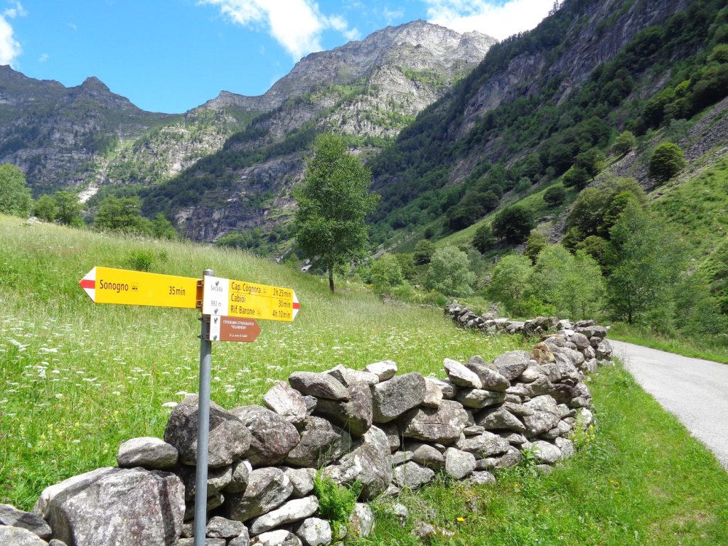 Secada (E. Stampanoni)