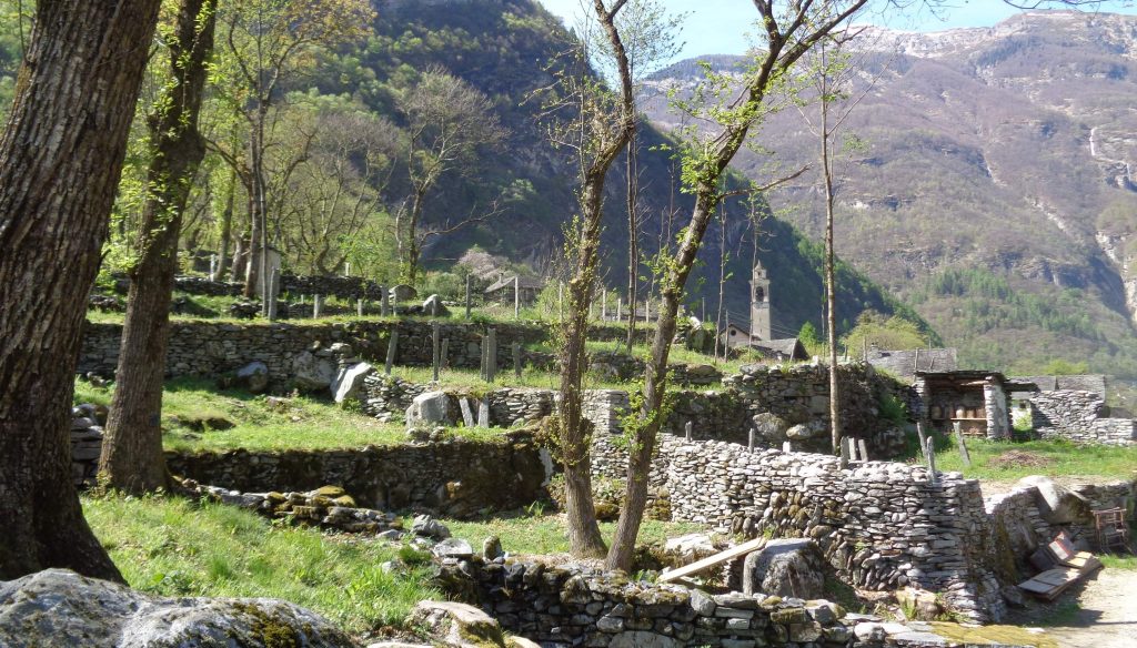 Nel corso dell’inverno sono stati ristrutturati un centinaio di metri di muri a secco (Elia Stampanoni)
