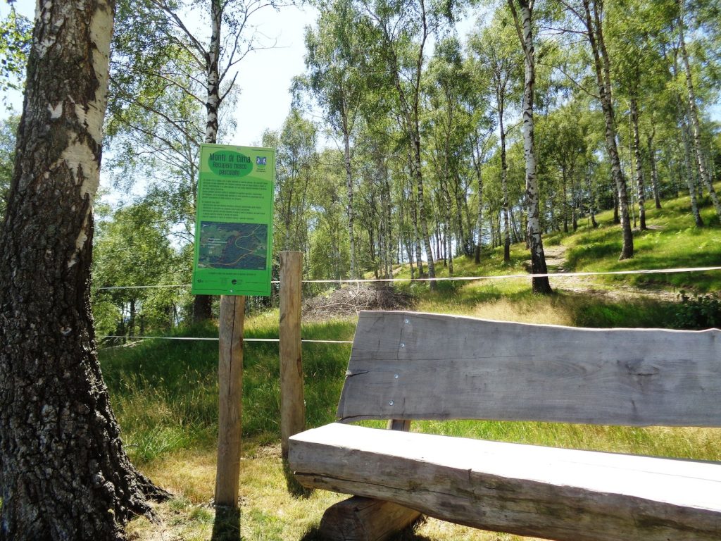 Il progetto è stato promosso dal Patriziato di Sala Capriasca (E. Stampanoni)